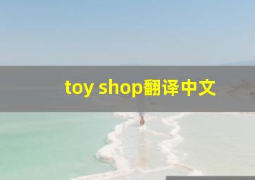 toy shop翻译中文